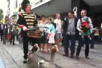 Парад гусей 