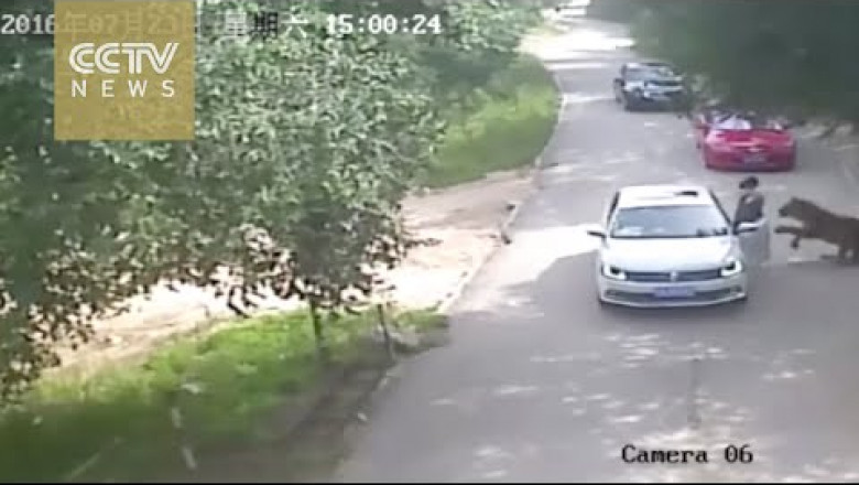 Слабонервным не смотреть!