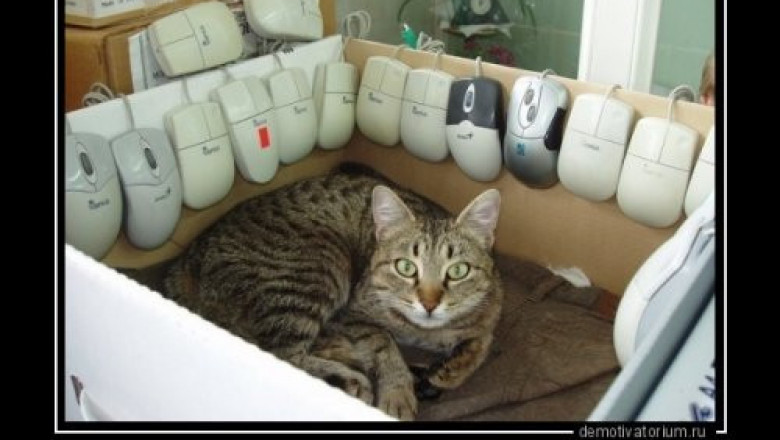 Славная была охота