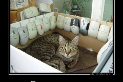 Славная была охота