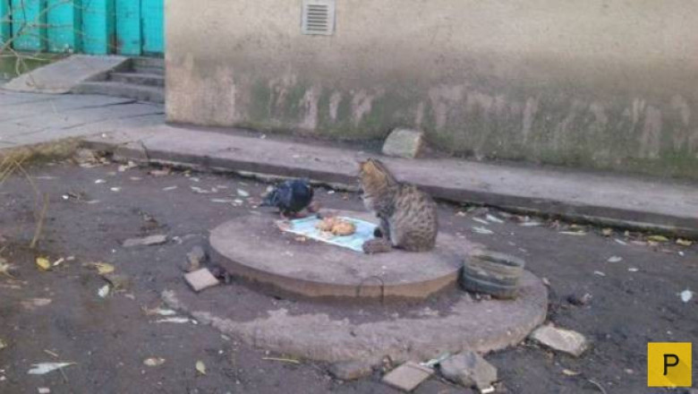 Душевный разговор