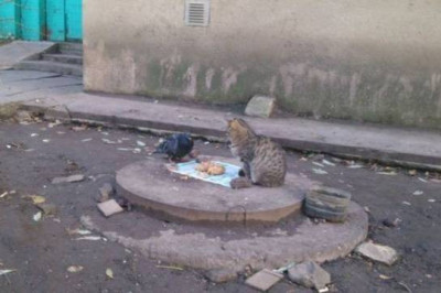 Душевный разговор