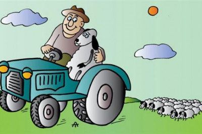 Фермерское хозяйство