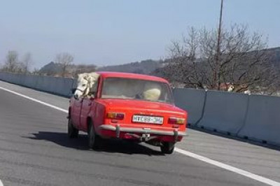 Грузоперевозка животных 