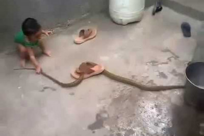 Малыш надругался над змеей