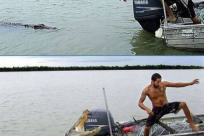 Не дразни крокодила