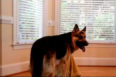 Не оставил подружку в беде 