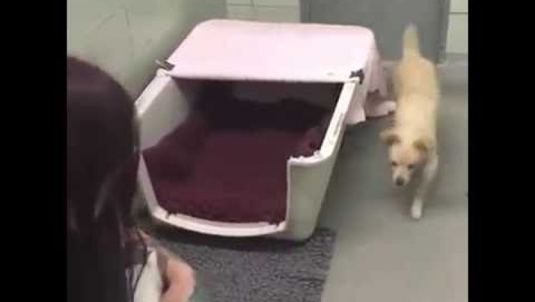 Трогательно до слёз 