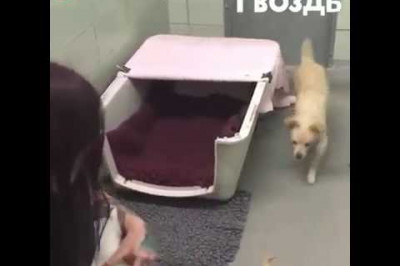 Трогательно до слёз 