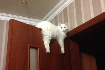 Удобные места для отдыха