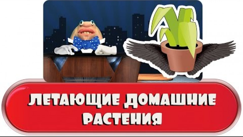 Вазон в полете