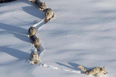 Коротко о том , что значит 