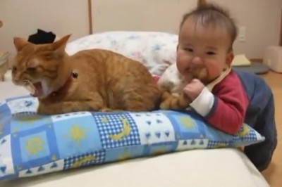 Малыш и рыжий кот