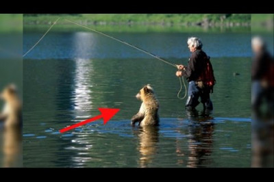 Неожиданные встречи с животными на рыбалке