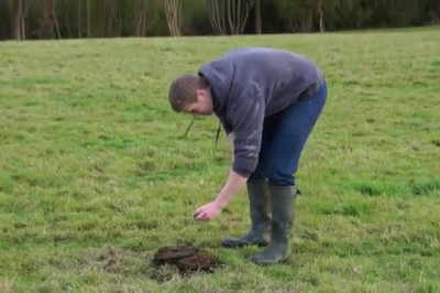 Пацанчики сделал нежданчик