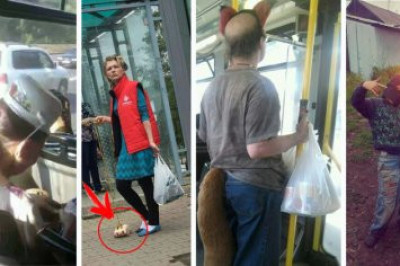 Странности и забавности городских улиц 