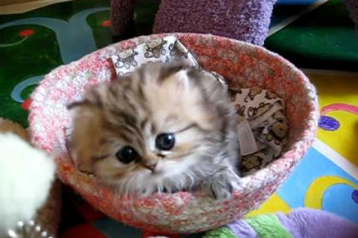 Невозможно не умилиться 