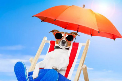 Прибор для защиты от мокроты