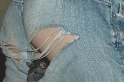 У каждой дыры есть свое предназначение