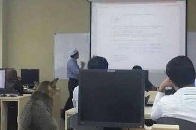 Кот который ходит на лекции