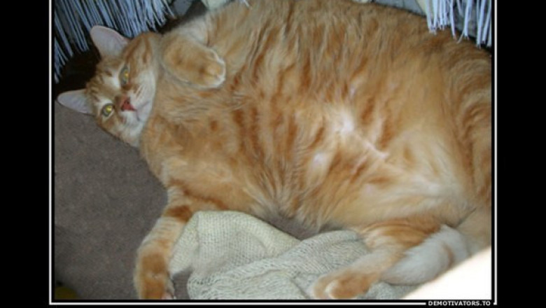 Пропал тренер по фитнесу