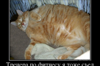 Пропал тренер по фитнесу