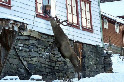 Пример доброты и благодарности 