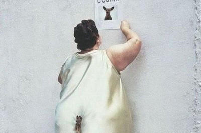 Пропала собака