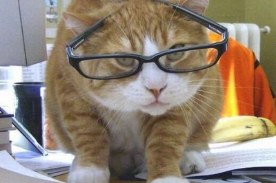 Без них , ну, никак !