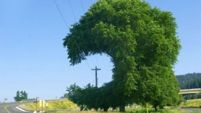 Забота о природе