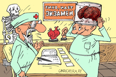 Дивное сочетание наук