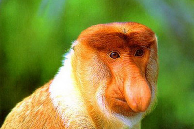 Докопалась до истины