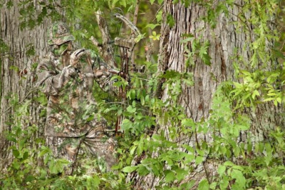 Мастера маскировки