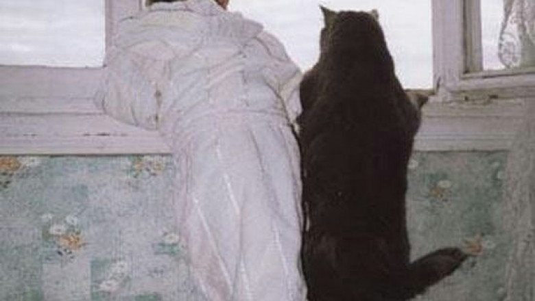 Натворили делов