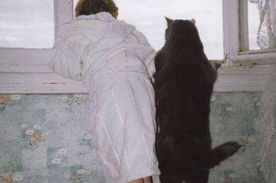 Натворили делов