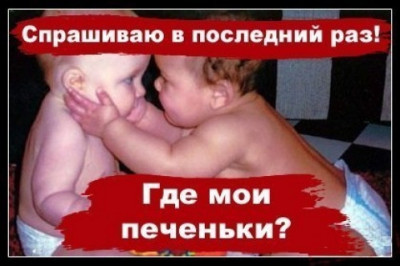 В поисках печеньки и конфет