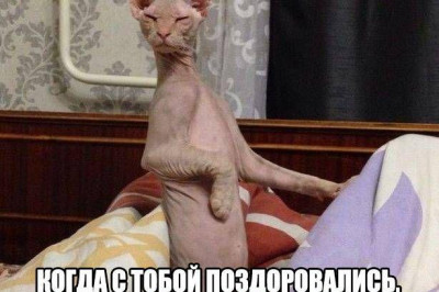 Юноша с дефектом зрения ищет девушку приятную на ощупь