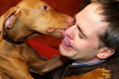 Запахло костями