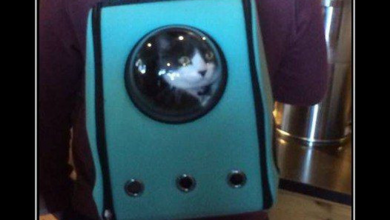 И снится нам не рокот космодрома