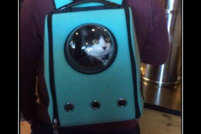 И снится нам не рокот космодрома