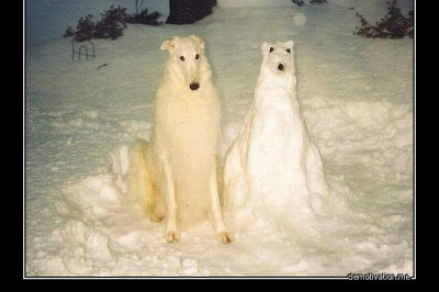 Клиент остался доволен работой