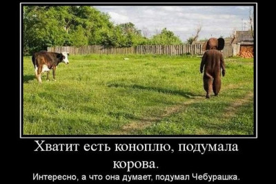 Коровка кушает траву