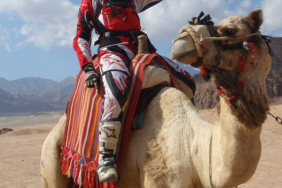 Кто они, эти горбатые великаны?