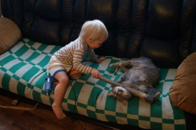 Малыш играется с котом