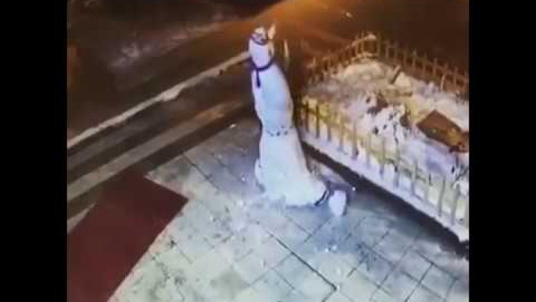 Месть снеговика