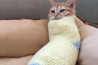 Похолодало на улице