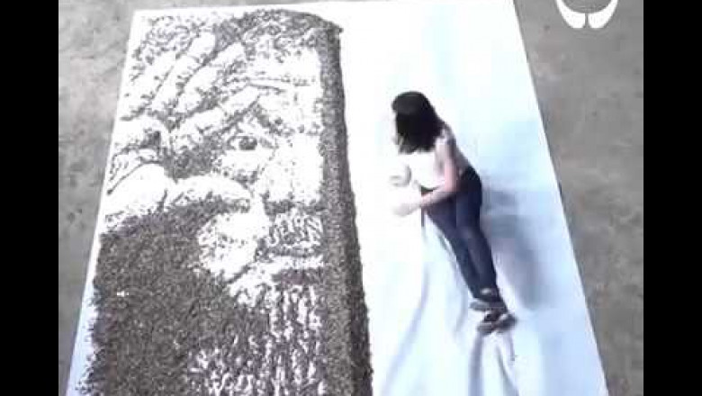 Портрет из 20 000 семечек