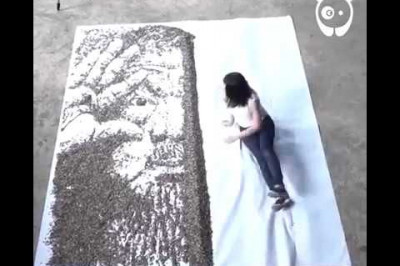 Портрет из 20 000 семечек