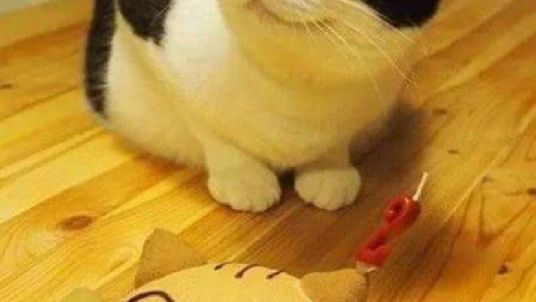 Заказчик остался доволен