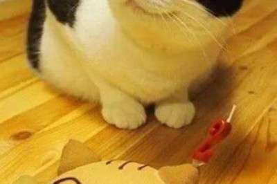 Заказчик остался доволен